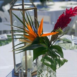 Meet your Posher, Crina